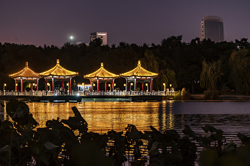 中国长春南湖公园夜景