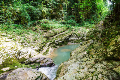 蓝山河峡谷和森林