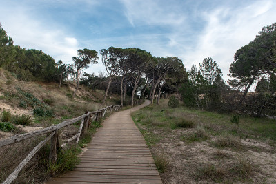 西班牙加泰罗尼亚吉隆省，Empuries遗址后面的La Escala的Platja de Les M