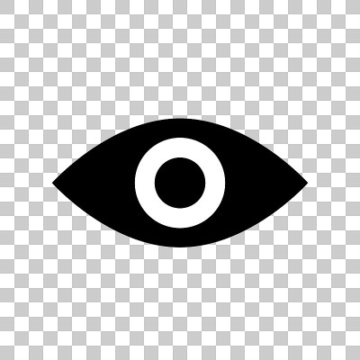 一个透明背景的眼睛图标。向量。