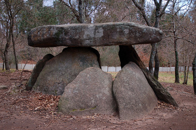 轴突Dolmen
