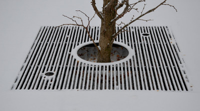 下雪了，积了一层小雪。银杏树的树干上有一个圆形孔的格子。形成一个图形条纹正方形