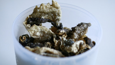 鱼皮饼干