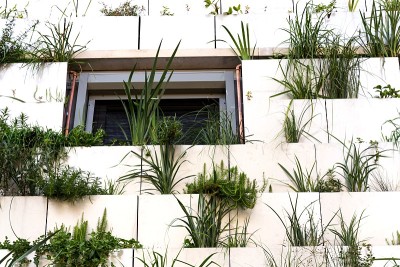 绿色垂直生活墙用根区污水处理，外立面对现代建筑用植物空调制冷