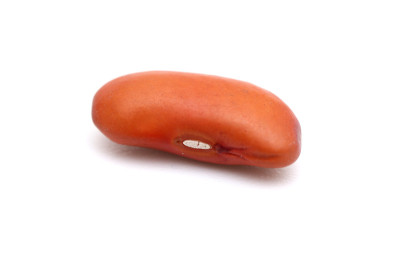 豆子