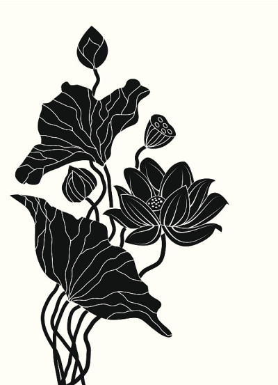 美丽的莲花。
