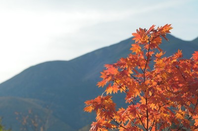Mt.norikura90