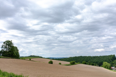 北海道美丽的风景