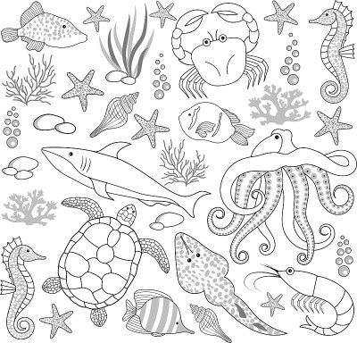 海洋生物