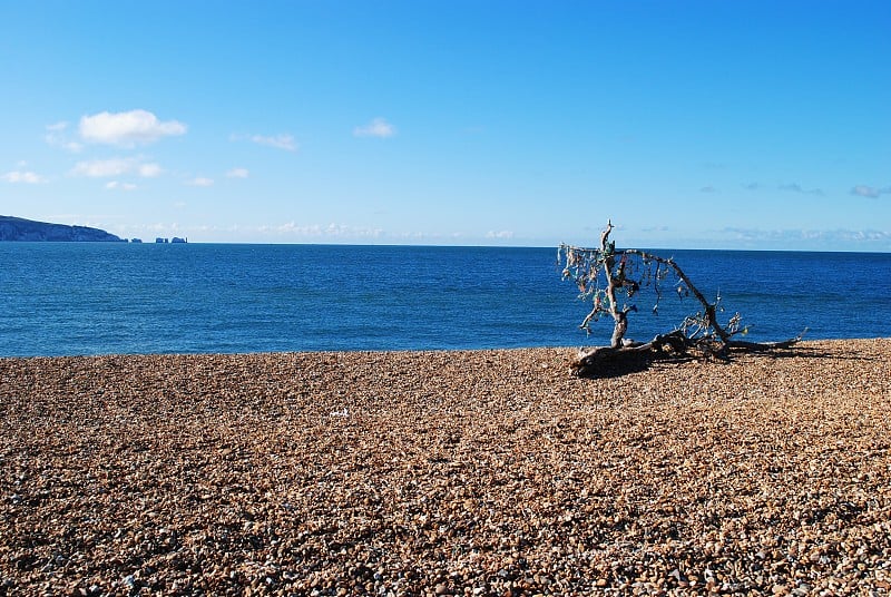 南英格兰海景