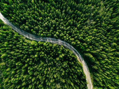 鸟瞰图绿色森林道路。弯曲的道路从上面。