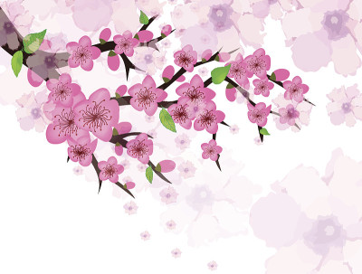 梅花贺年卡