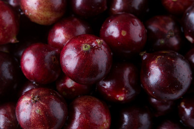 jaboticaba，典型的巴西水果在桌子上的锅，俯视图