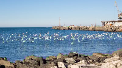 黑海