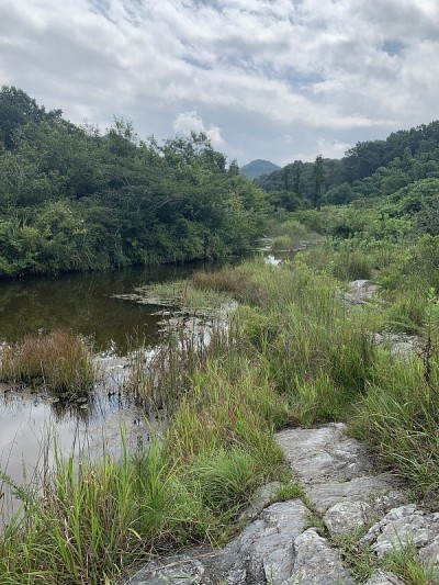 纳加托罗峡谷， 奇奇布