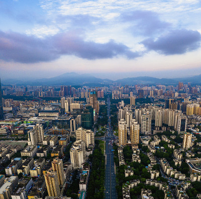 道路和交通向前移动(垂直全景图)
