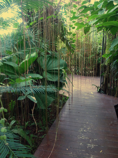 植物园