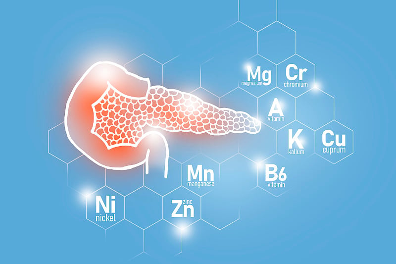 胰腺健康的必需营养素包括镍、铬、铜、锰。