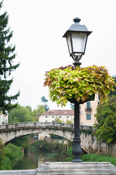 Vicenza’bridges