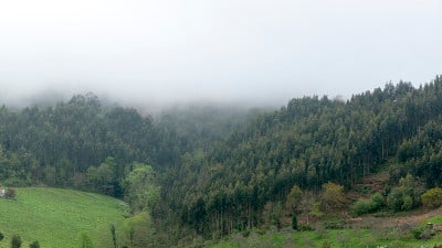 模糊的风景
