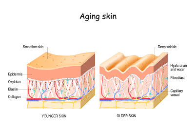 Aging skin. comparison and difference between olde
