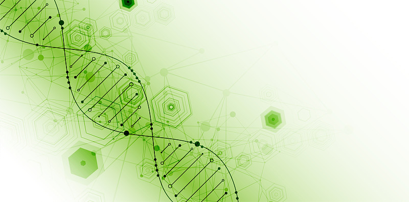 科学模板，抽象背景与DNA分子。矢量插图。