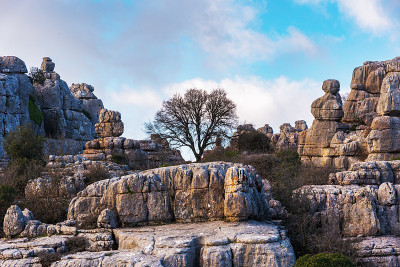 自然区域El Torcal de Antequera，由天气塑造的喀斯特石景观。