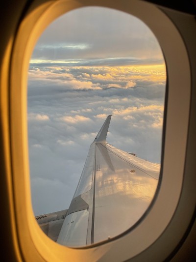 一架飞机的机翼在蓝色的天空水平，蓝色，旅游