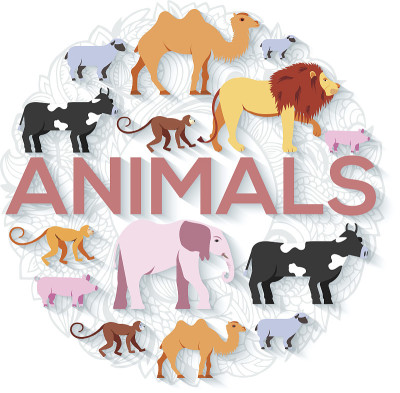 动物圆概念有狮子、猴子、猴子、骆驼、大象、奶牛