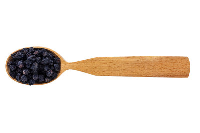 Dried Aronia melanocarpa or black mountain ash in 