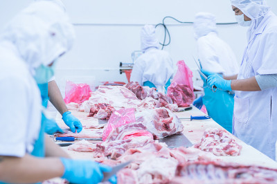在工厂里切肉的工人