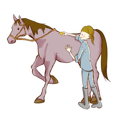 女孩正在刷棕色的马