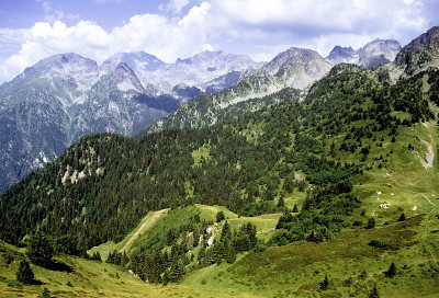 山