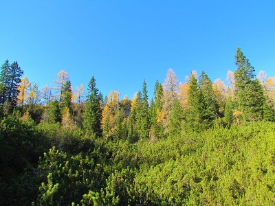 秋季高山景观