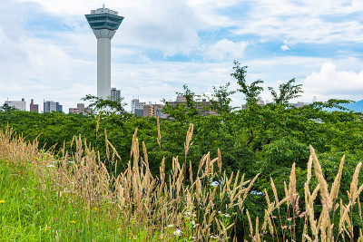 五街塔在夏日阳光明媚的日子里白云和蓝天
