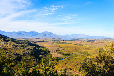 Franschhoek葡萄园景观，南非全景