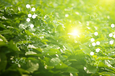生物实验室自然与科学，绿色背景下具有生物化学结构的植物。