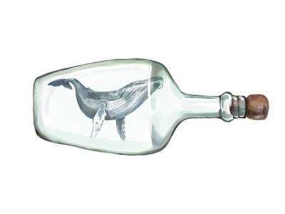 瓶中鲸的水彩画插图。孤立在白色背景上