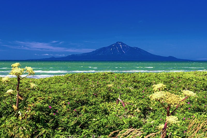 日本北海道奥罗伦线公路的夏日风景