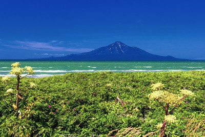 日本北海道奥罗伦线公路的夏日风景