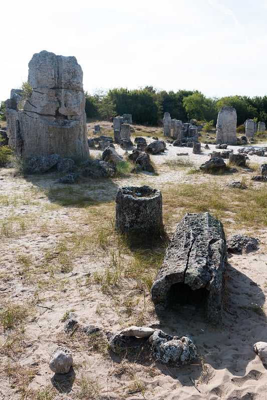 保加利亚瓦尔纳附近的石头沙漠(Pobiti kamani)