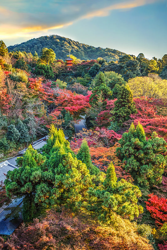 京都清水寺的秋天