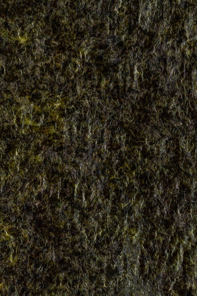 近距离观察干海草。海苔干的纹理作为背景