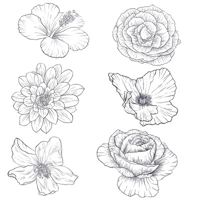 矢量图花