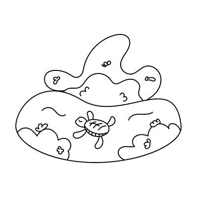 珊瑚礁上的海龟