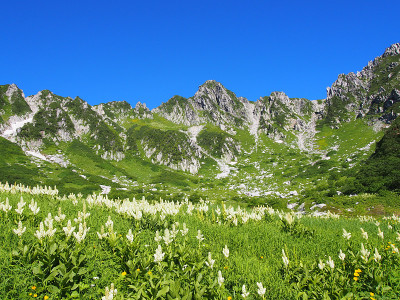 日本长野市一索马山的Senjojiki马戏团