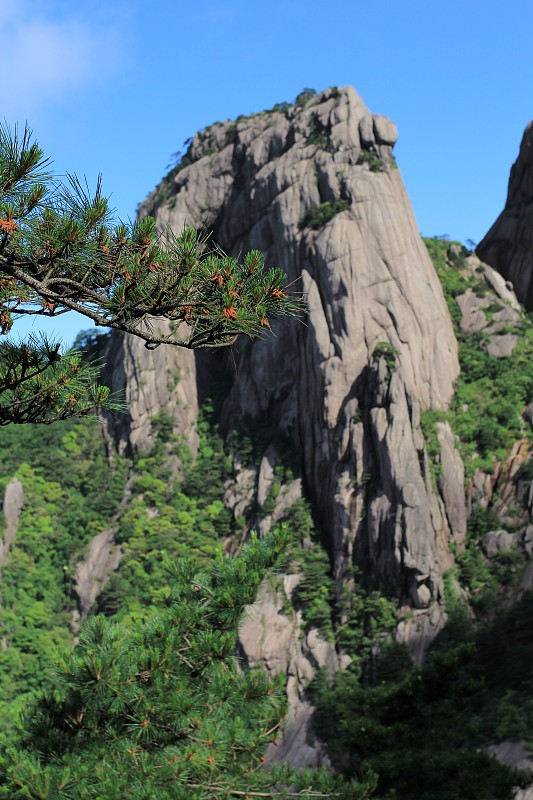 壮丽的黄山