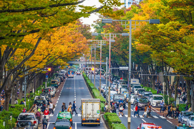 表参道秋叶