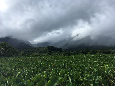 夏威夷考艾岛阴雨天的哈纳雷。
