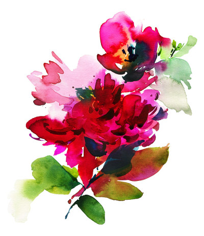 鲜花水彩插图